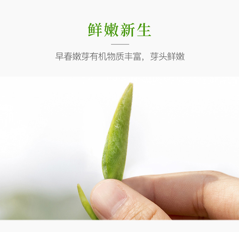 天府龙芽2022年新茶明前特级高山绿茶宜宾早茶50g