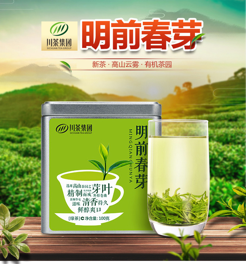 【宜宾邮政】叙府 明前春芽高山云雾生态绿茶100g