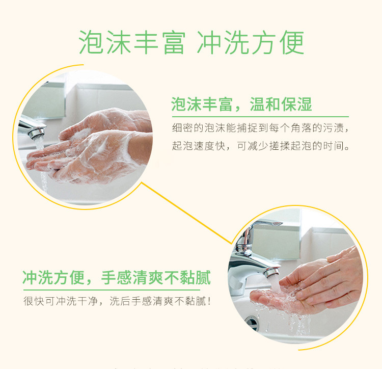 【2瓶装】 隆力奇洗手液泡沫型洗手液 清香型全家共享家庭装500g