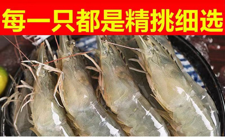  【邮乐自营】 茂苠贸易 海水养殖超大海虾鲜 1.4kg/盒