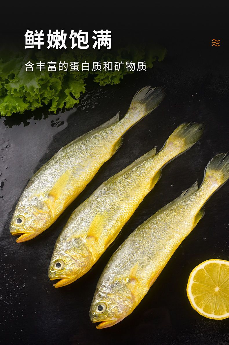 【邮乐自营】 茂苠贸易 【邮乐自营】深海新鲜 小黄鱼500g*2袋