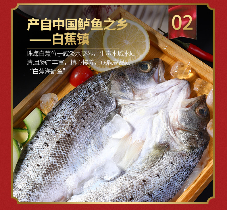 【邮乐自营】鲜到鲜得 三去白蕉海鲈鱼礼盒1.8kg