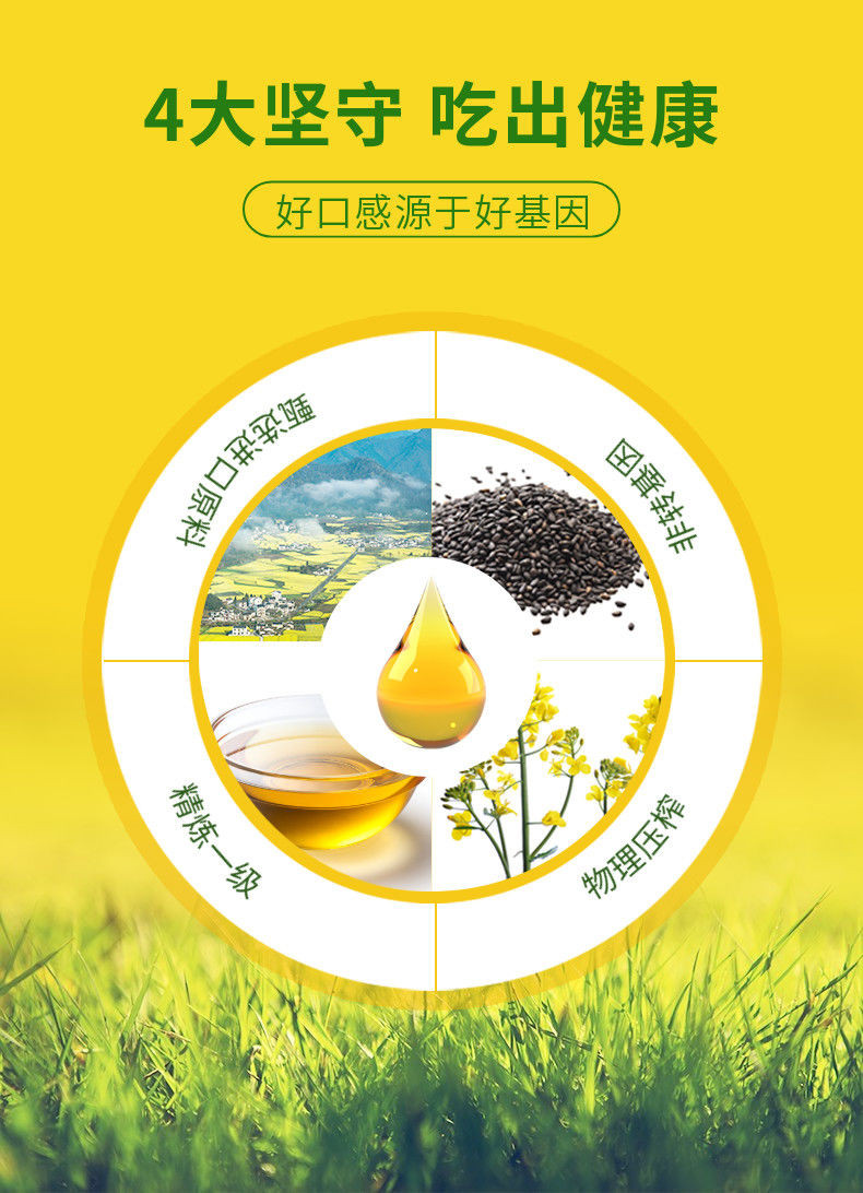  【邮乐自营】 福临门 非转基因一级菜籽油（压榨）5L 5L