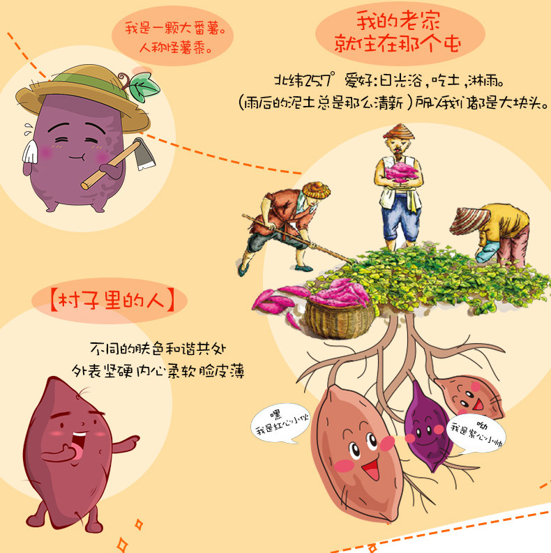 【第2件半价+买3再送1】远山农业 连城红心地瓜干福建闽西特产红薯干/紫番薯干200g 非油炸零食