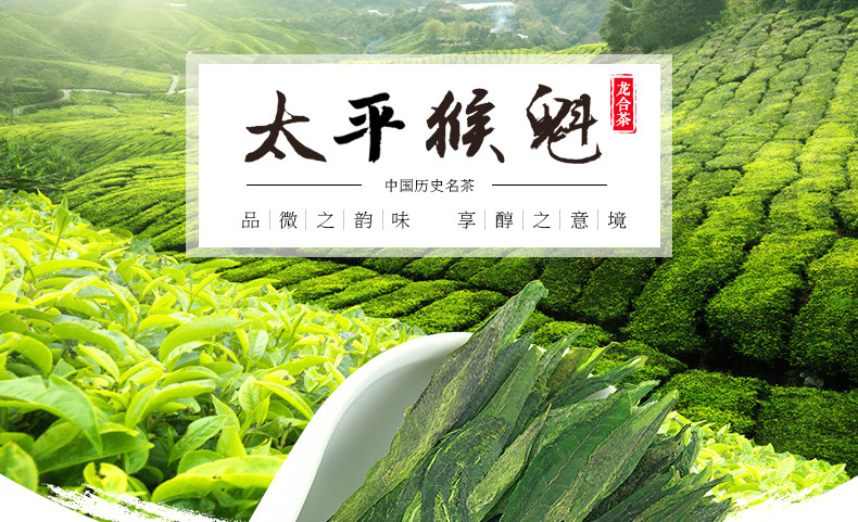 龙合 新茶春茶安徽黄山雨前一级太平猴魁正宗机制布尖绿茶250g茶叶