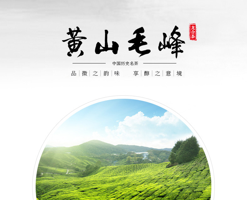 龙合 新茶春茶嫩芽安徽正宗黄山毛峰毛尖春茶绿茶125g罐装精品茶叶