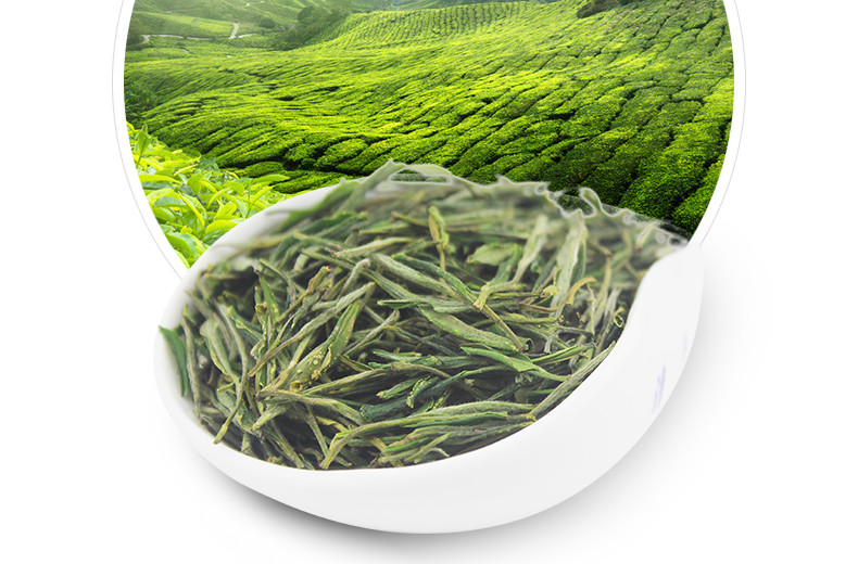 龙合 新茶春茶安徽明前春茶特级黄山毛峰毛尖正宗徽茶200g罐装茶叶