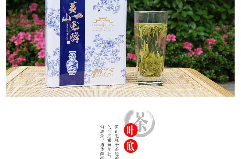 龙合 新茶春茶安徽正宗黄山毛峰毛尖一级雨前毛峰250g罐装精品茶叶