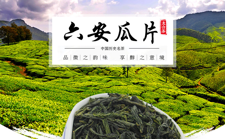 龙合 新茶春茶安徽原产一级6安瓜片手工绿茶250g罐装精品茶叶