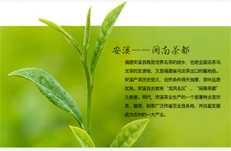 石草池 新茶安溪铁观音乌龙茶浓香型250g