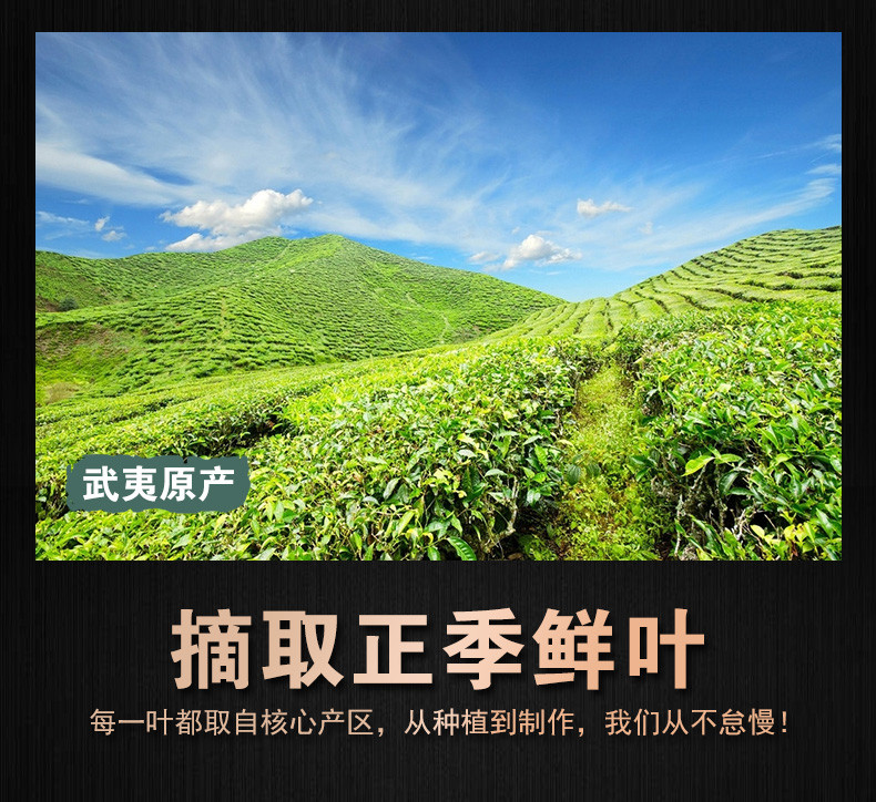 石草池 新茶蜜香型红茶金骏眉茶叶礼盒装