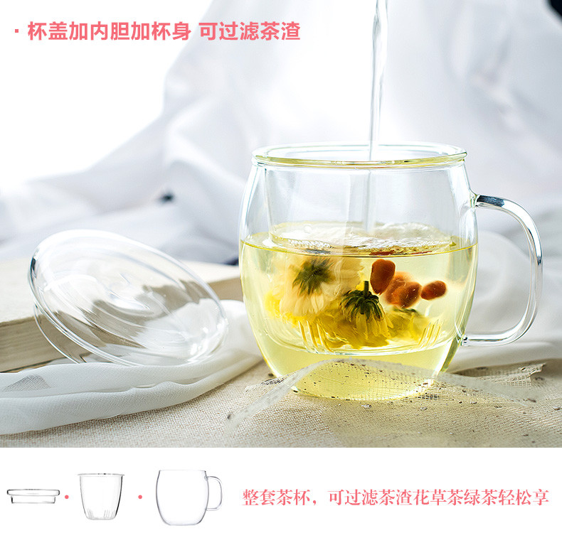 天喜（TIANXI）玻璃杯花茶杯带盖办公室过滤泡茶杯TBL02-450