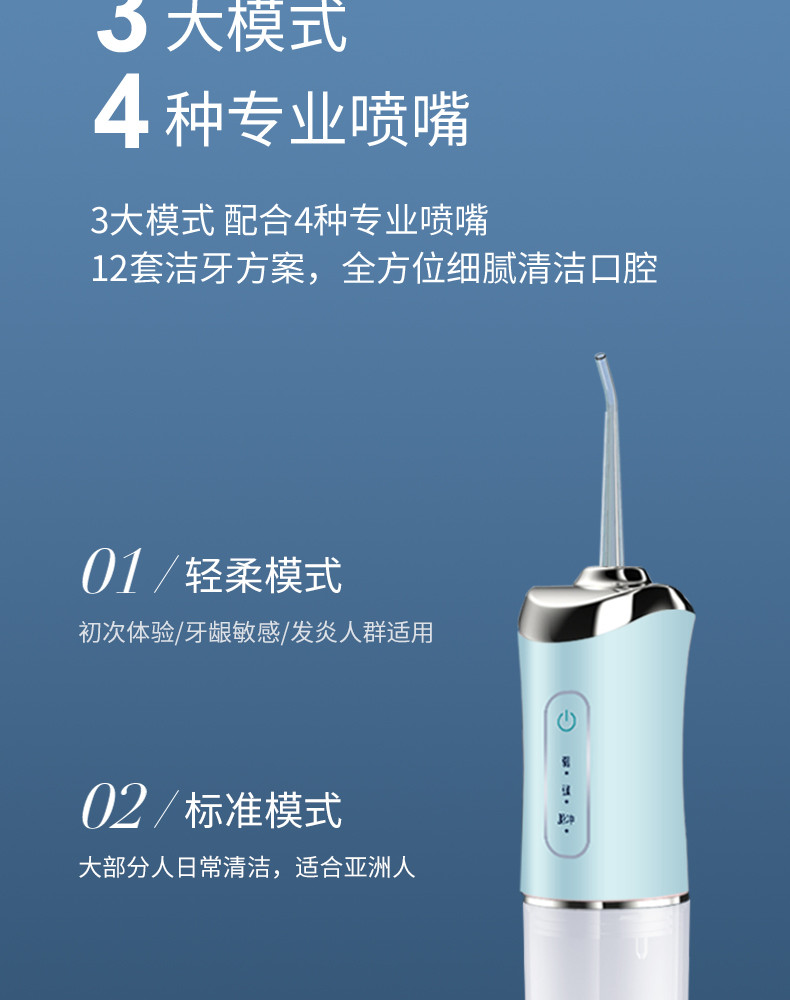 港德 冲牙器洗牙器牙齿清洁器剔牙神器 豪华款RD-A76-4