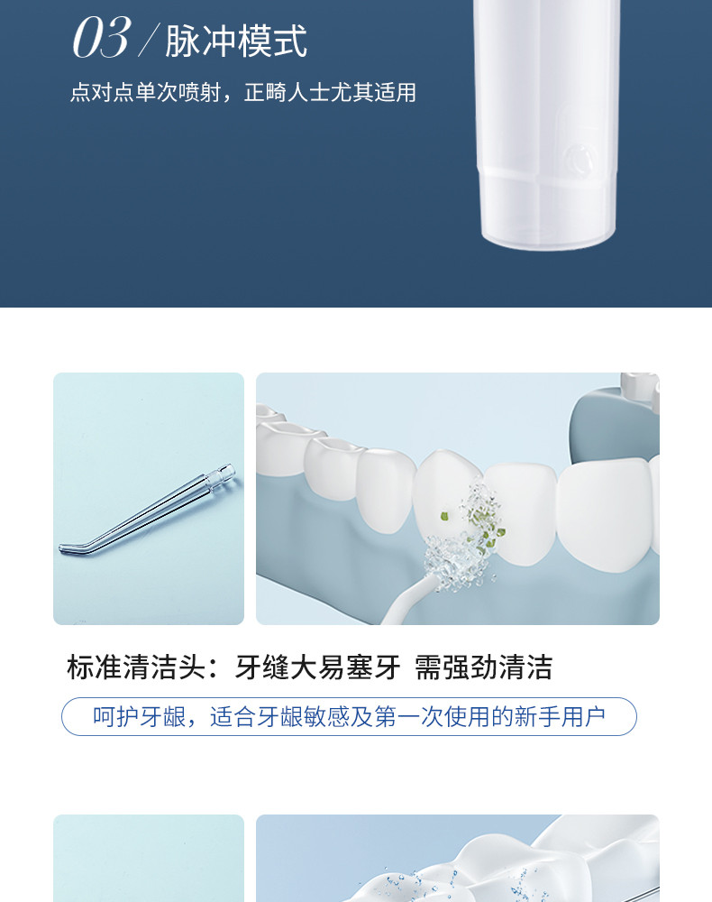 港德 冲牙器洗牙器牙齿清洁器剔牙神器 豪华款RD-A76-4