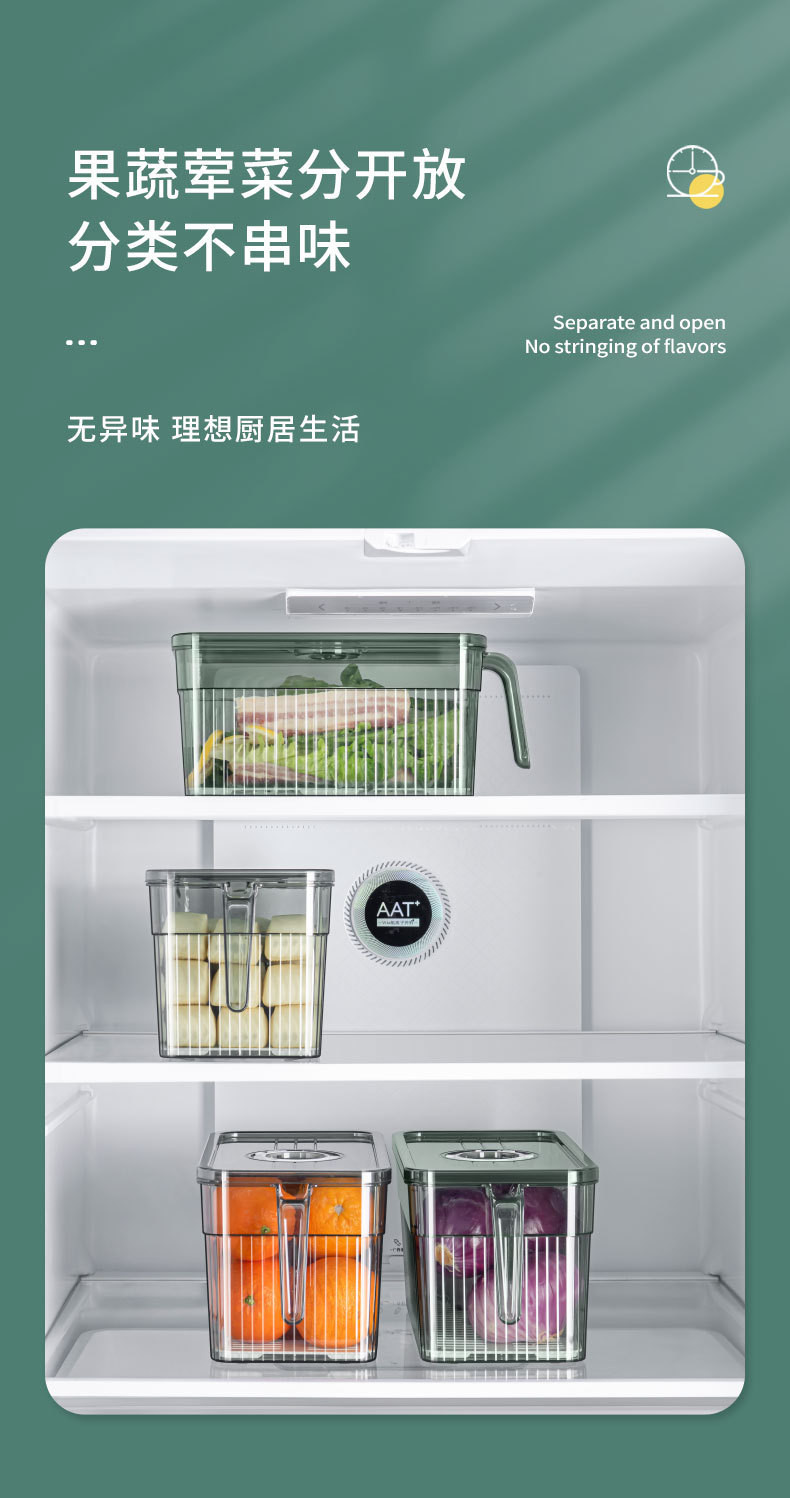 港德 冰箱收纳盒带手柄可沥水食品密封盒透明保鲜盒子大号 BX-01