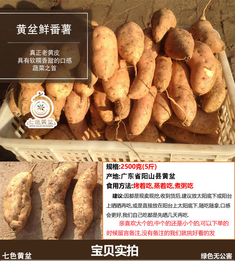  精准扶贫帮扶农产品清远市阳山县黄坌农家自产现挖番薯蛋黄色清甜可口新鲜绿色环保无公害