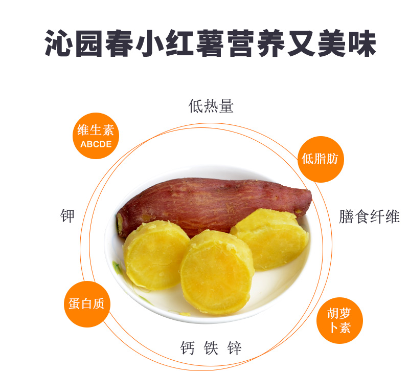 5斤装 约25根小果新鲜板栗红薯蜜薯糖心小红香薯黄心地瓜（新疆，西藏，吉林，海南不发货）