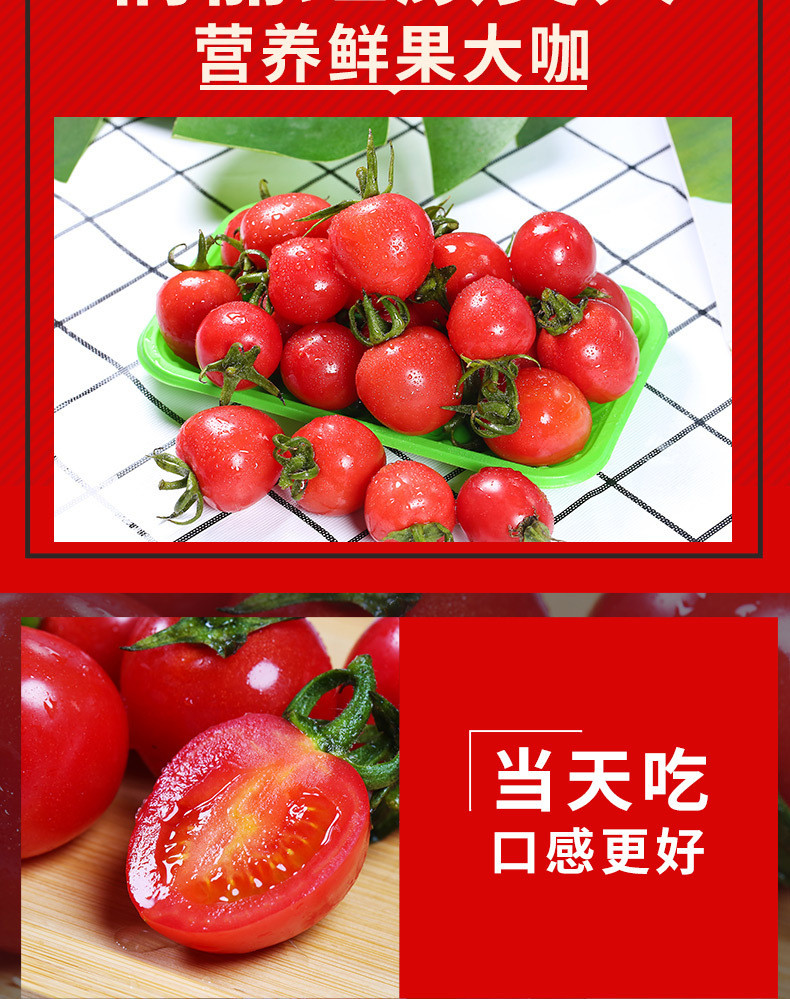 宛味宝 福建漳州圣女果 新鲜小蕃茄当季 酸甜爆汁