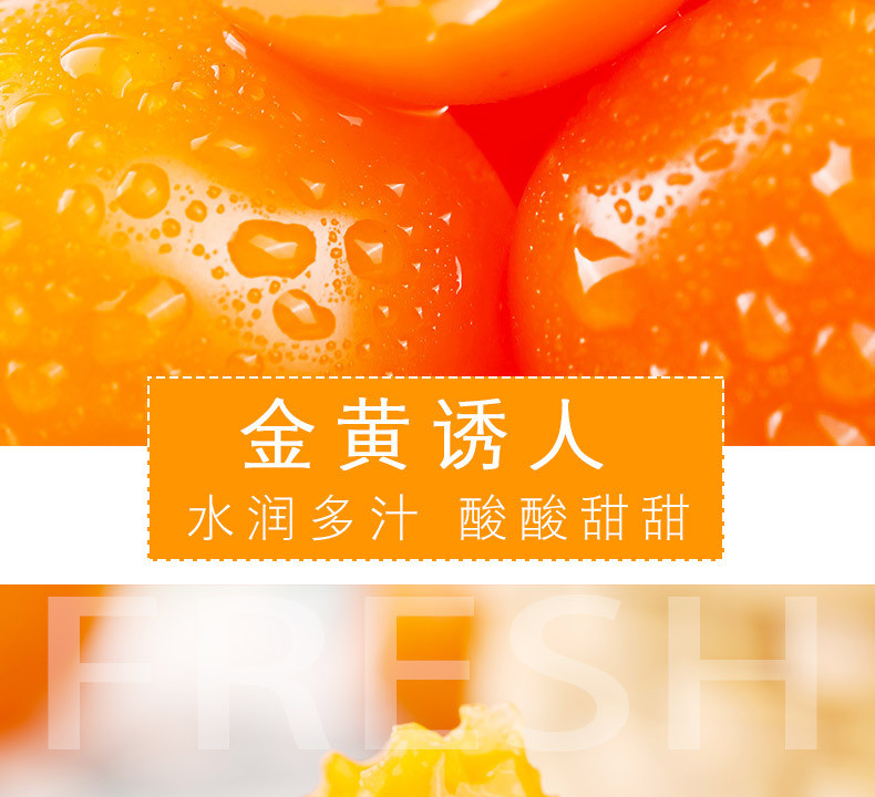 宛味宝 福建漳州圣女果 新鲜小蕃茄当季 酸甜爆汁