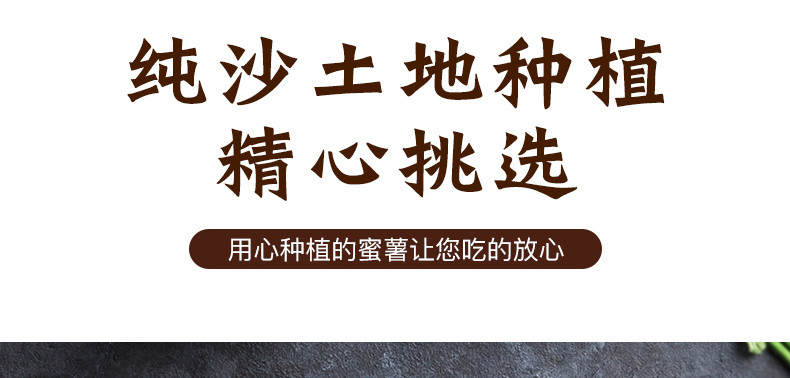 山东沙地烟薯中瓜5斤新鲜番薯密农家红心流油蜜薯糖心红薯