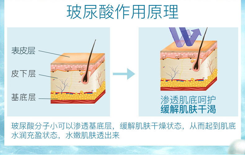 冰菊玻尿酸保湿补水面部护理2件套散装套装护肤品