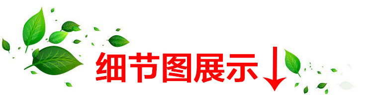 城徒 户外冲锋裤男女款秋冬季防水防风加绒加厚长裤保暖耐磨软壳登山裤