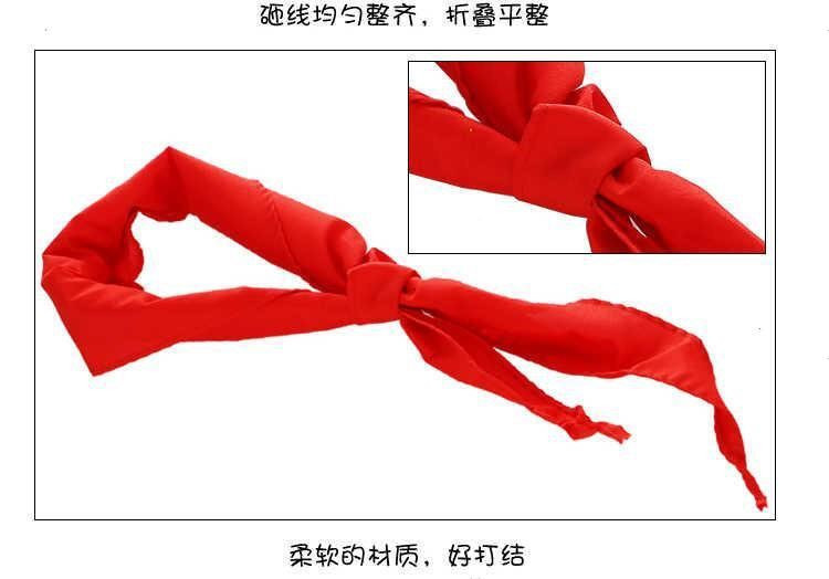 正彩（ZNCI）小学生少先队员红领巾 布质柔软1.2米大号红领巾批发学生用品 10条装