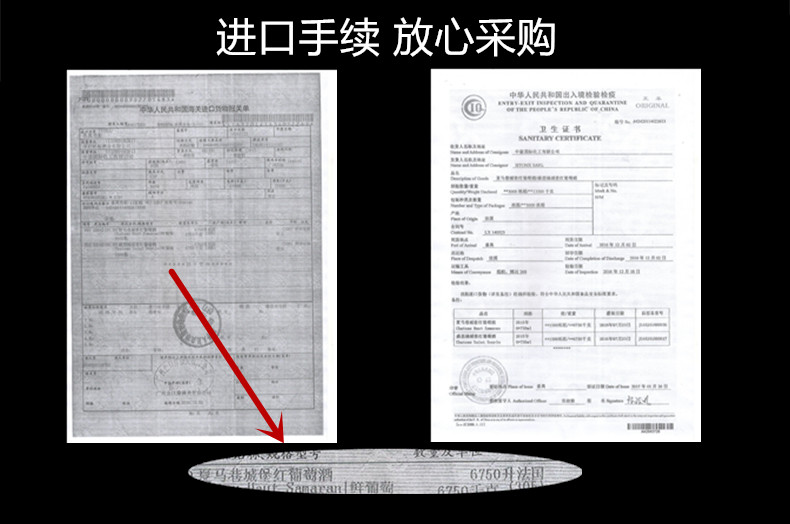 整箱六瓶 法国进口红酒优选城堡干红葡萄酒 天使之手瓶型