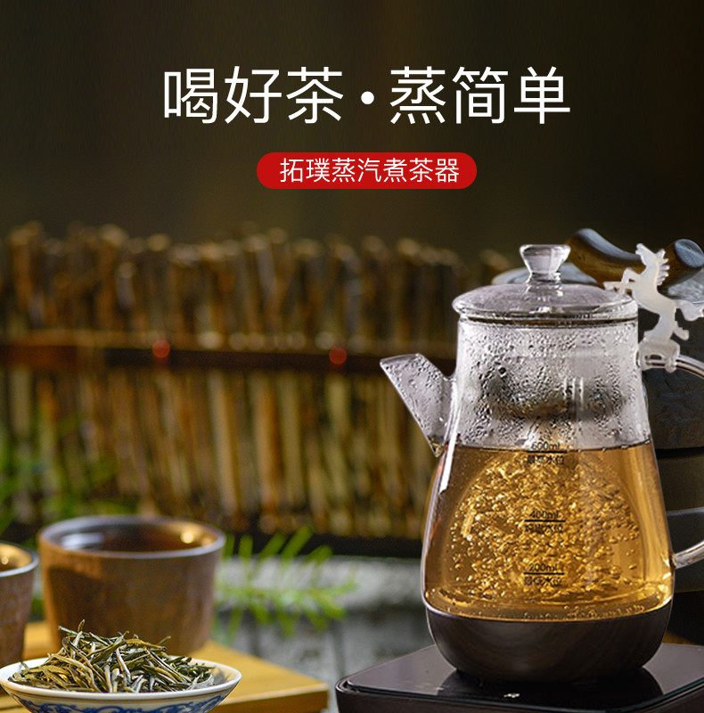 西屋 拓璞 煮茶器 家用智能烧水壶 玻璃电茶炉全自动上水电热水壶保温电水壶套装DK515