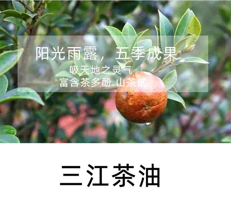 邮政农品 广西三江茶油250ml/瓶茶籽油柳州特产