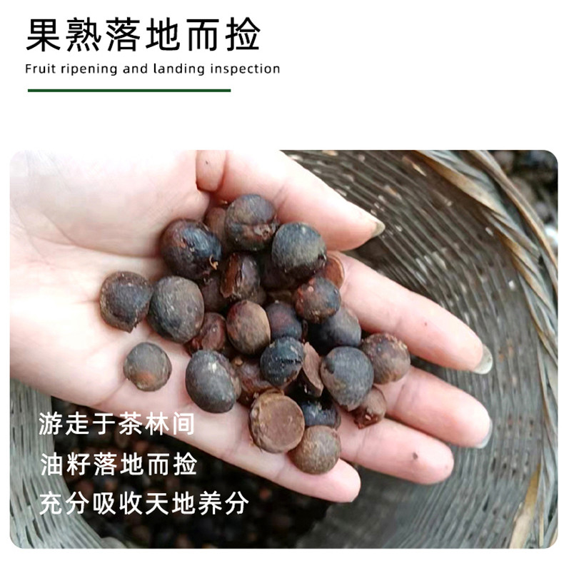 邮政农品 广西三江茶油250ml/瓶茶籽油柳州特产