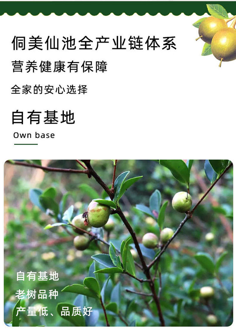 侗美仙池 广西三江茶油250ml/瓶茶籽油柳州特产