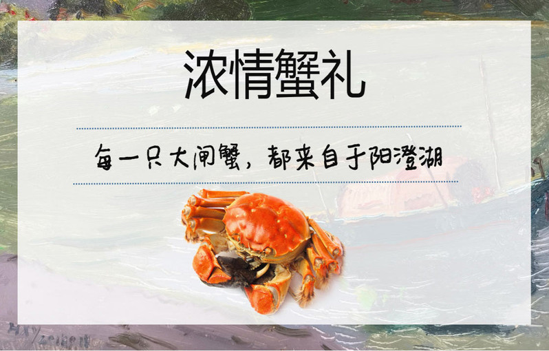 蟹皇仔 祥瑞卡5公5母 阳澄湖大闸蟹 公蟹4.0两、母蟹2.8两