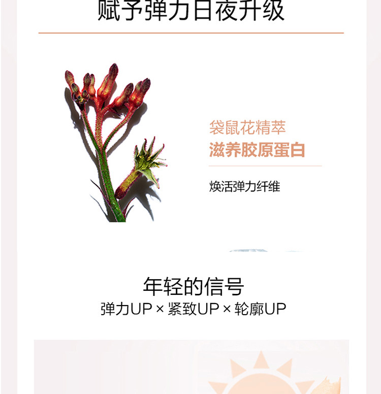 娇韵诗/Clarins 焕颜弹力日霜50ml（弹簧霜）紧致面霜胶原回弹【国内专柜货】