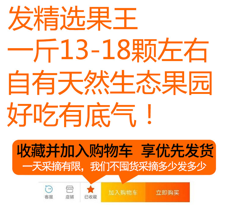  柳州融安高品质滑皮金桔（普通装5斤）鲜”人一步，甜度适宜，包脆包甜全国包邮，偏远地区不发货【复制】