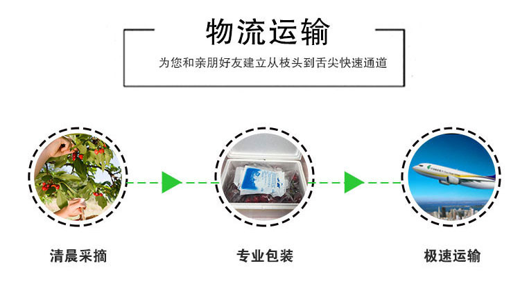 【阳泉馆】 山西运城绛县大樱桃果园直供美早4斤包邮 【5月20日开始发货】