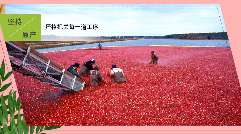 亲别找啦 蔓越莓干100g/袋 蜜饯果脯水果干 休闲食品 孕妇零食 蔓越莓干