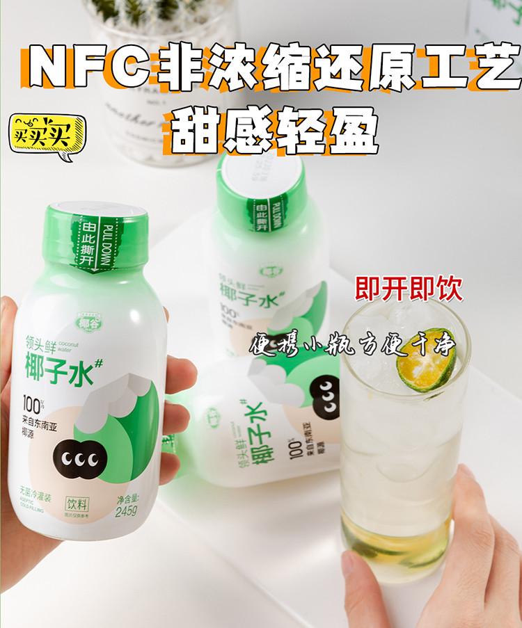 领头鲜 椰子水245g*8瓶