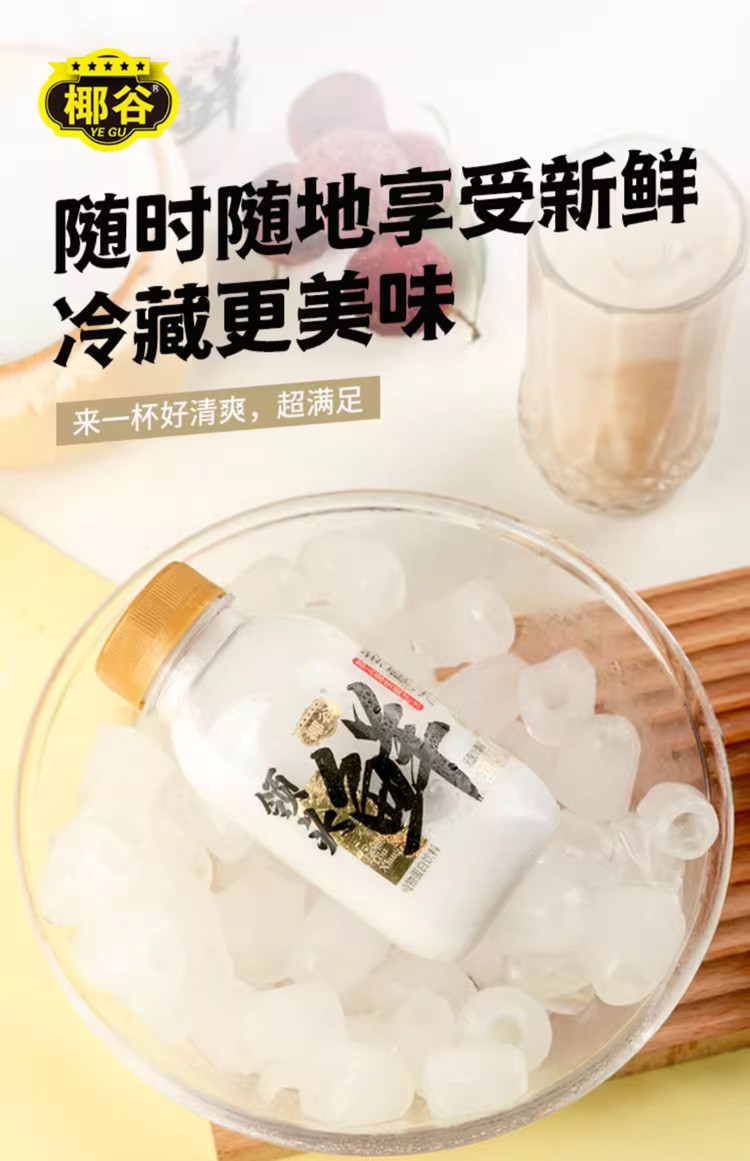 领头鲜 椰汁245g*10瓶