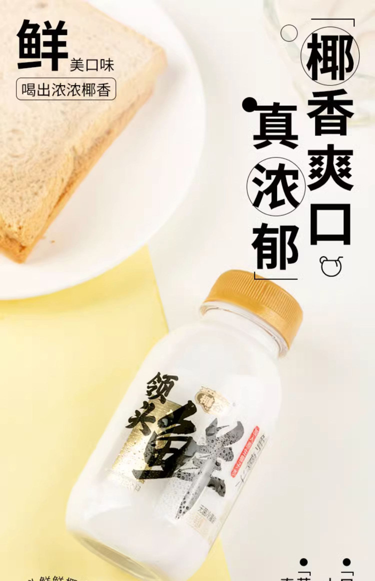 领头鲜 椰汁245g*10瓶