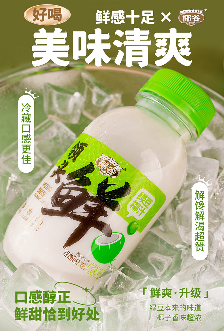 领头鲜 绿豆椰汁245g*10瓶