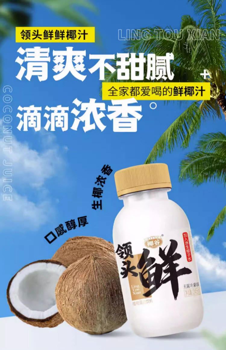 领头鲜 椰汁245g*10瓶 滴滴浓香日期新鲜