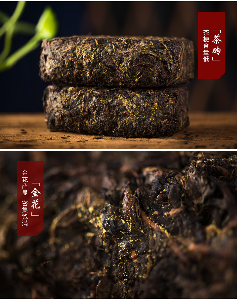 湘丰黑茶茶叶陈仓金茯