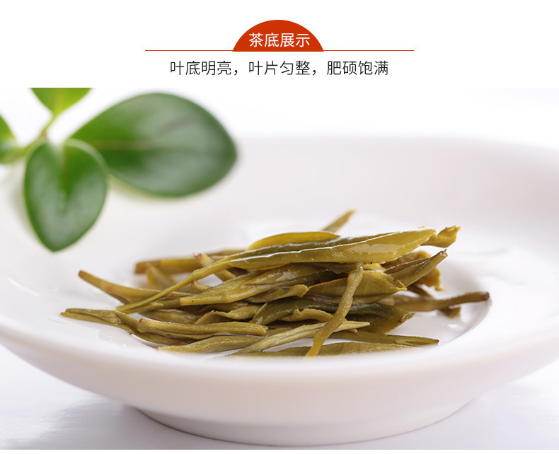 湘丰绿茶茶叶散装毛尖茶春茶