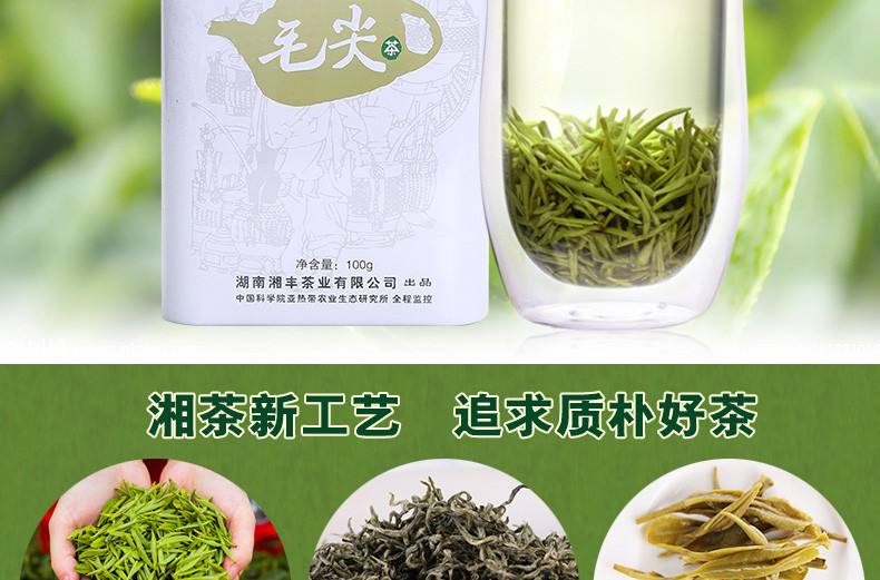 湘丰毛尖茶明前炒青绿茶