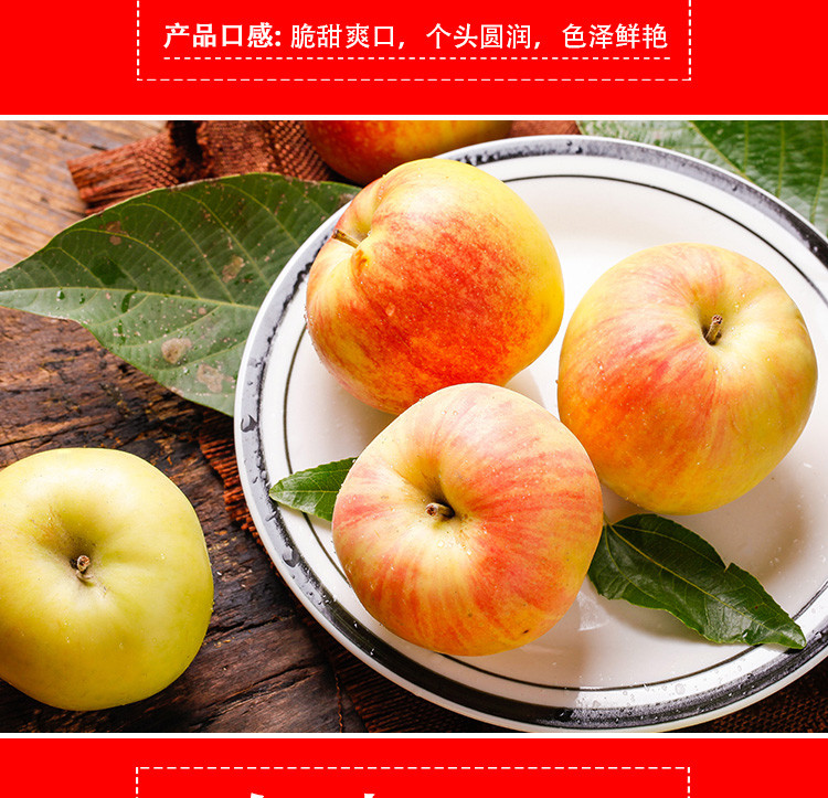 陕西大荔早熟苹果新鲜果肉厚水果特产5斤包邮原产地新鲜现摘发货