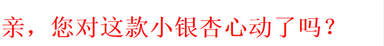 【原产地直邮】新疆手剥小银杏天然炒货500g包邮