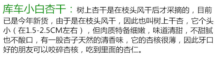  【原产地直邮】新疆新货库车小白杏干无添加天然休闲孕妇零食果干吊死干500g包邮