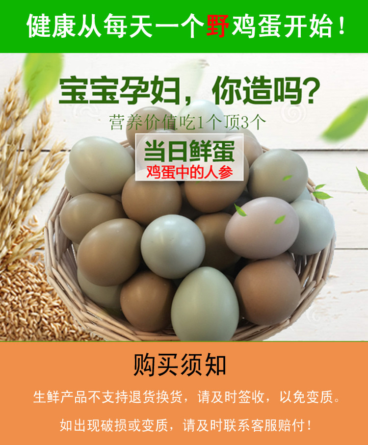 【原产地直邮】30枚黔江农家野飞鸡野鸡蛋礼盒900g包邮