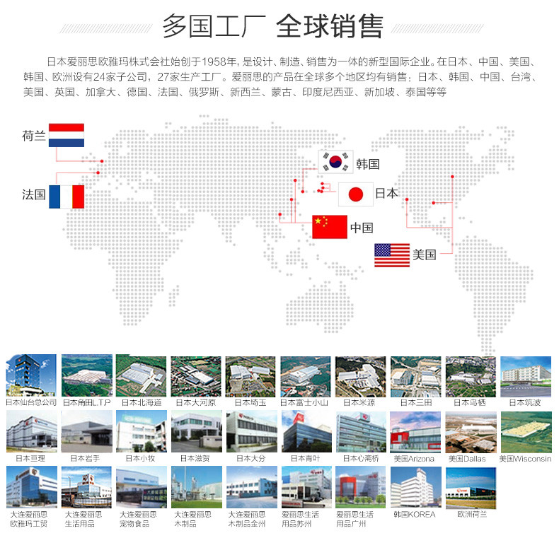 爱丽思IRIS 多功能厨房卫生间塑料镂空藤编纹带盖储物整理收纳箱中号2只